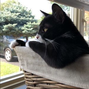 Meet your Posher, Lisa